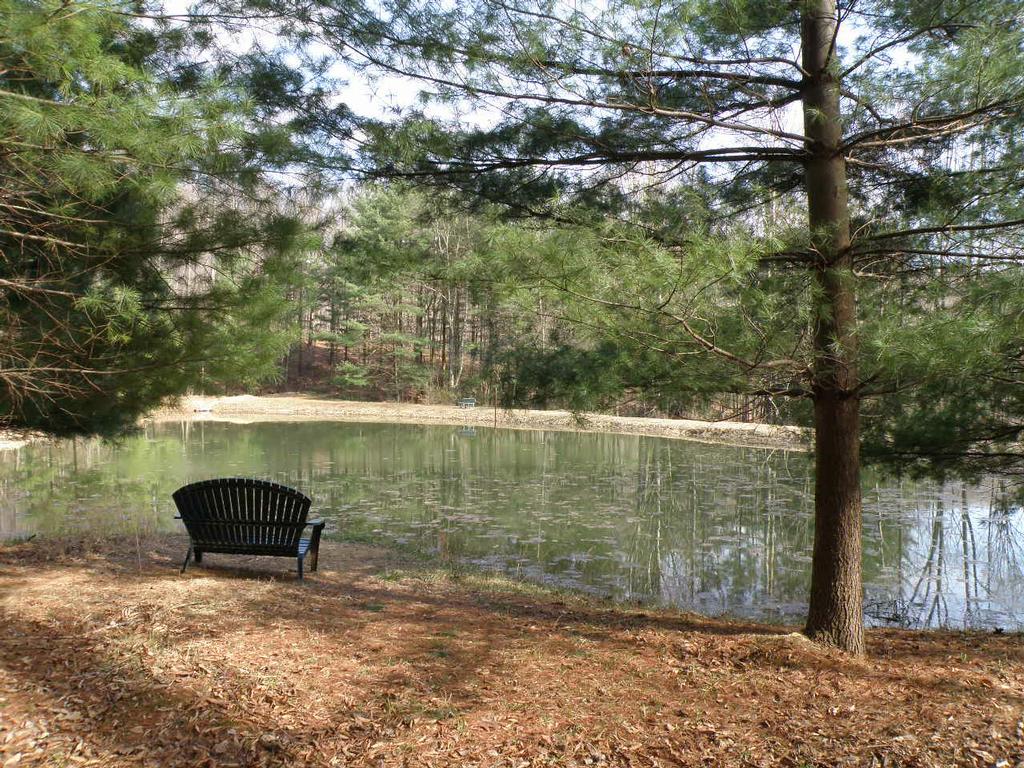 P3220148 back top fishing pond from Hocking Hills Cabins Frontier Log